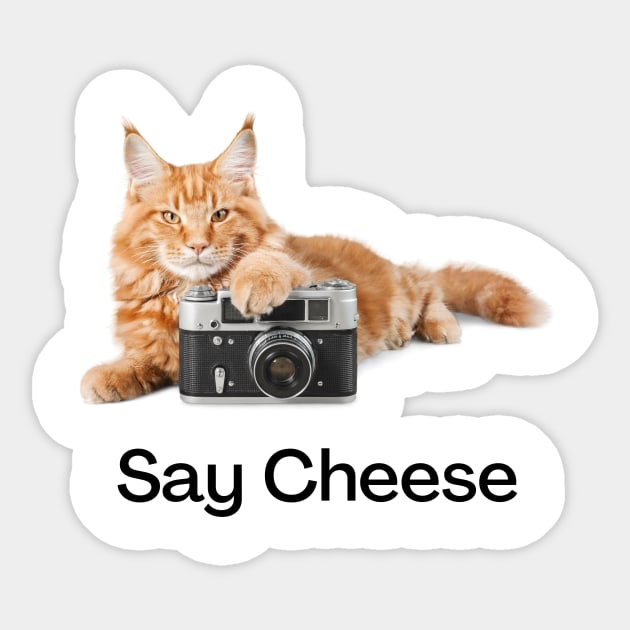 Say Cheese Sticker by Pacific West